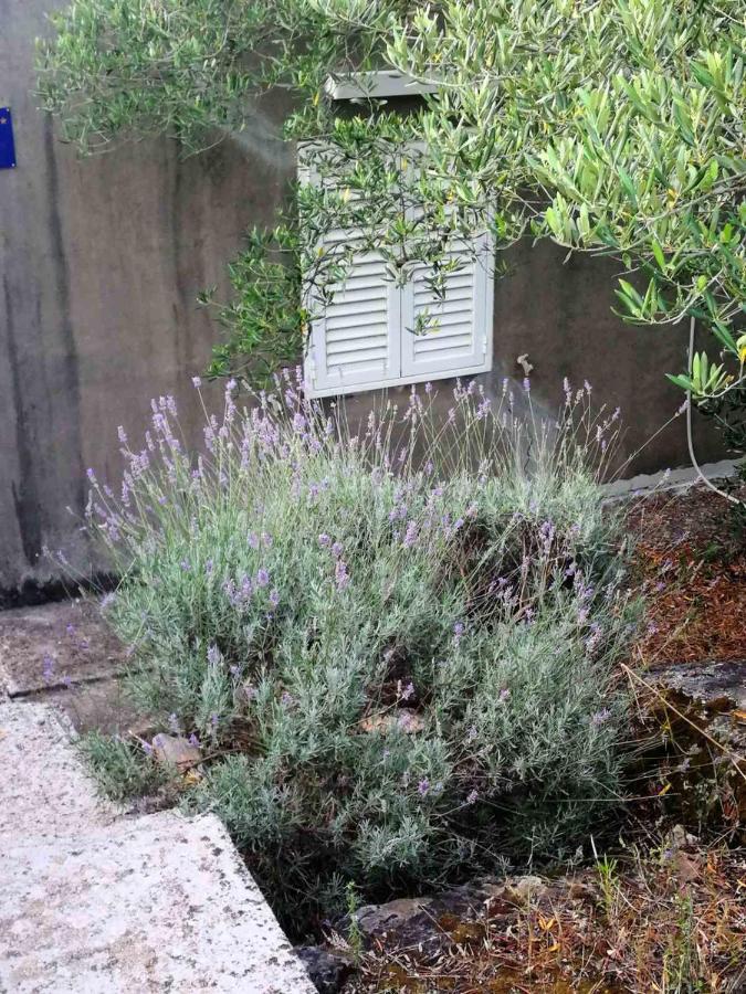 Apartamento Beach House Olea Blazevo Exterior foto